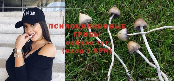 mdpv Баксан